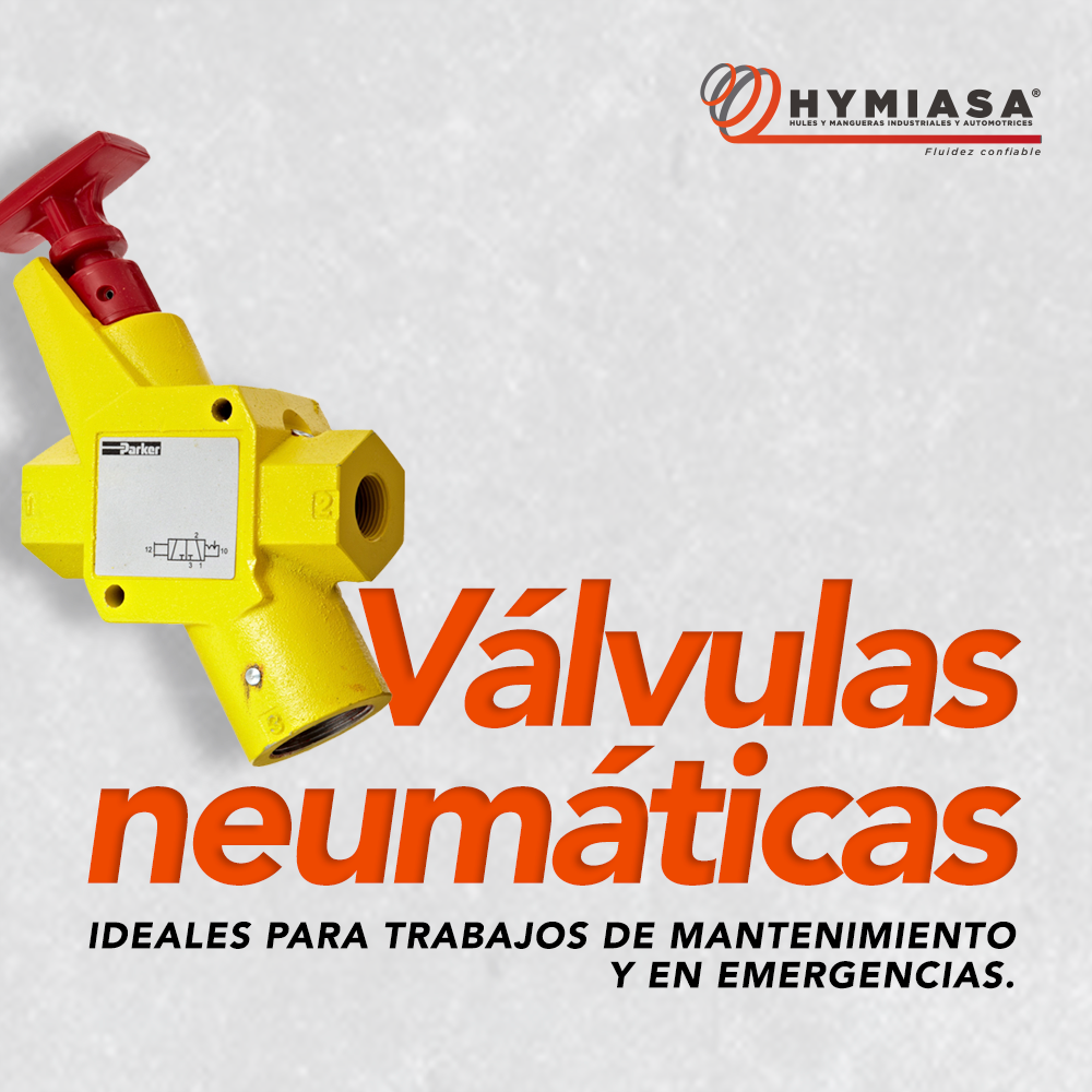 Válvula de seguridad industrial